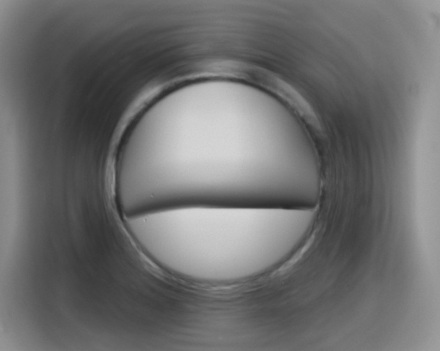 X0000116151180200911230945