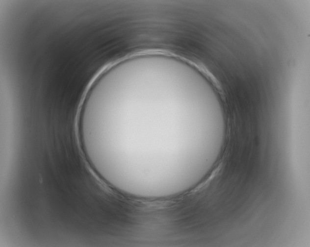 X0000116151181200911230945
