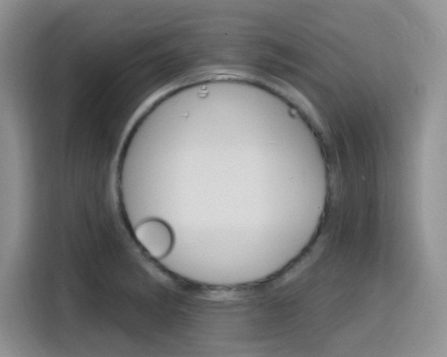 X0000116151182200911230945
