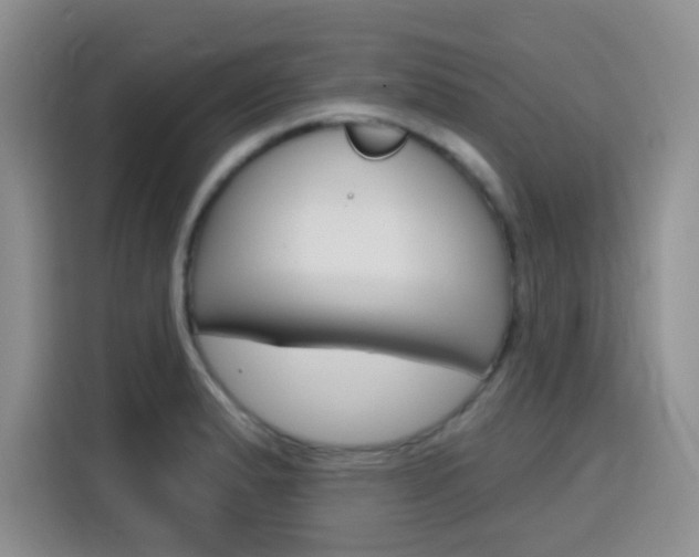 X0000116151183200911230945
