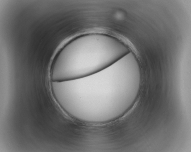 X0000116151184200911230945