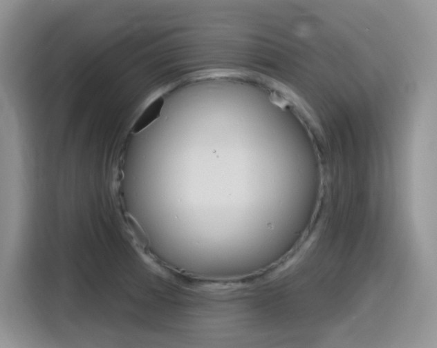 X0000116151185200911230945