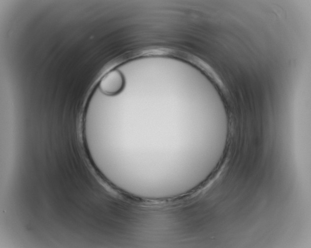 X0000116151186200911230945