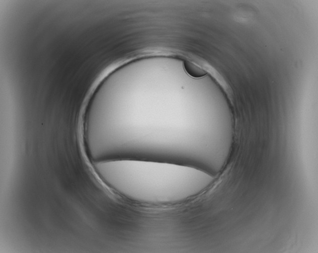X0000116151187200911230945