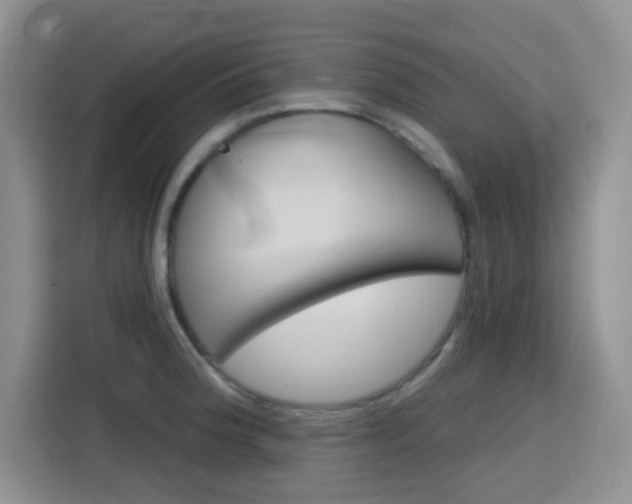 X0000116151188200911230945