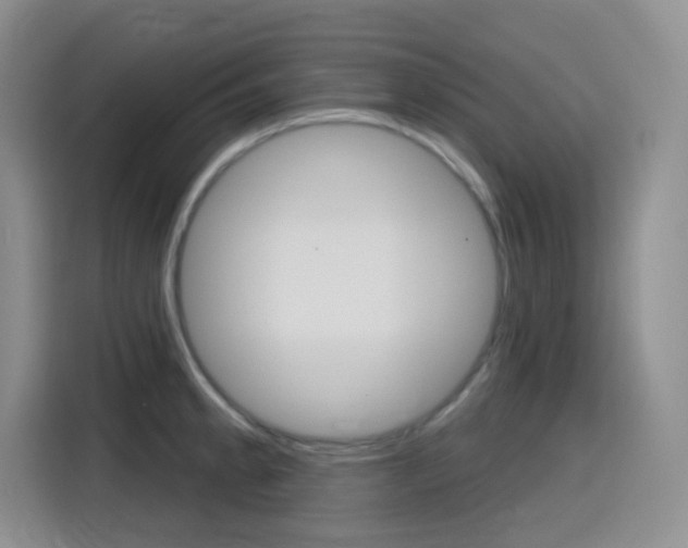 X0000116151189200911230945
