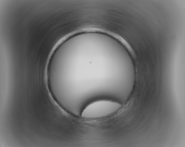 X0000116151191200911230945