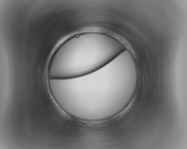 X0000116151192200911230945