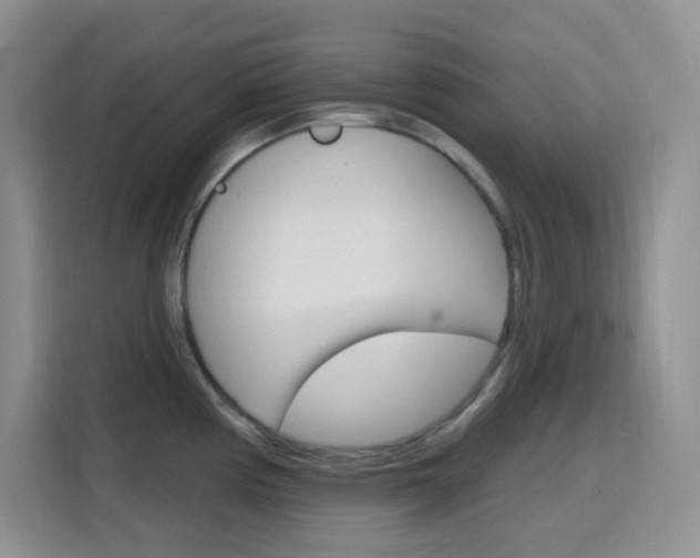 X0000116151194200911230945