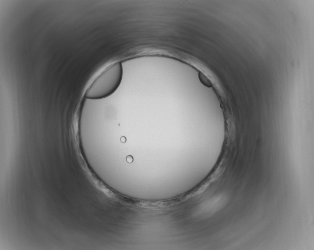 X0000116151198200911230945