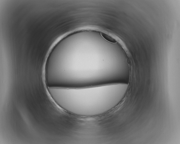 X0000116151199200911230945