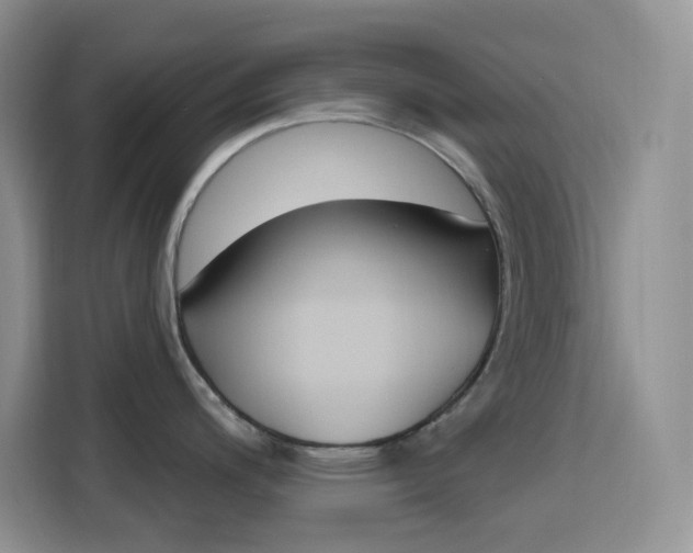 X0000116151200200911230945