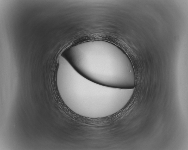 X0000116151201200911230945