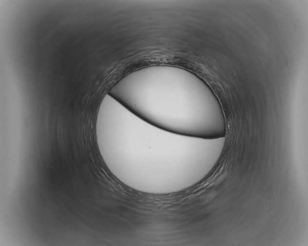 X0000116151202200911230945