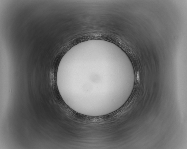 X0000116151203200911230945