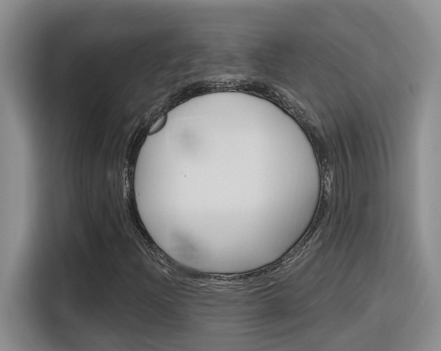 X0000116151204200911230945