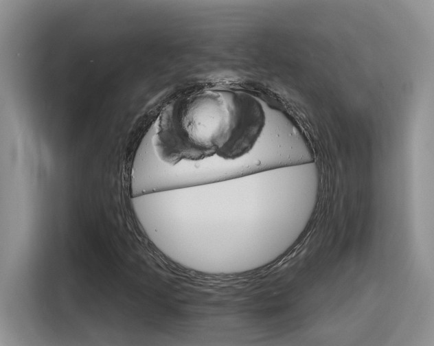X0000116151205200911230945