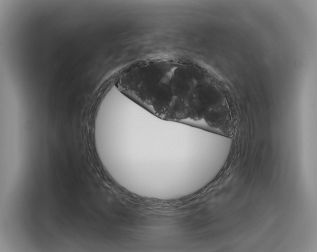 X0000116151206200911230945