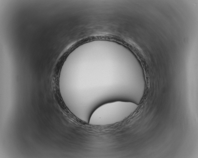 X0000116151208200911230945