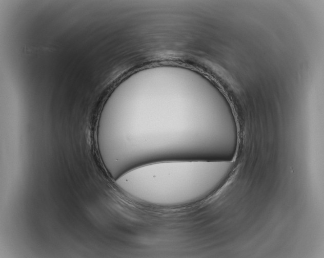 X0000116151209200911230945