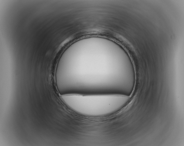 X0000116151210200911230945