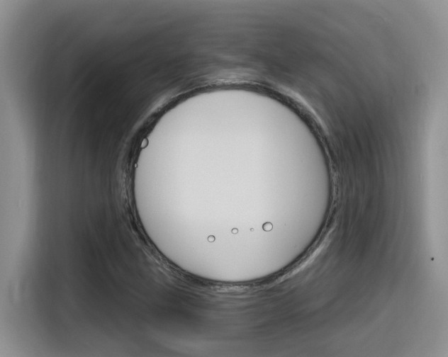 X0000116151211200911230945