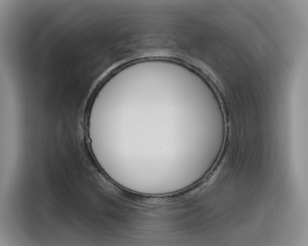 X0000116151212200911230945