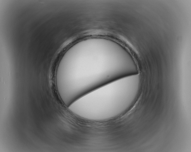 X0000116151213200911230945