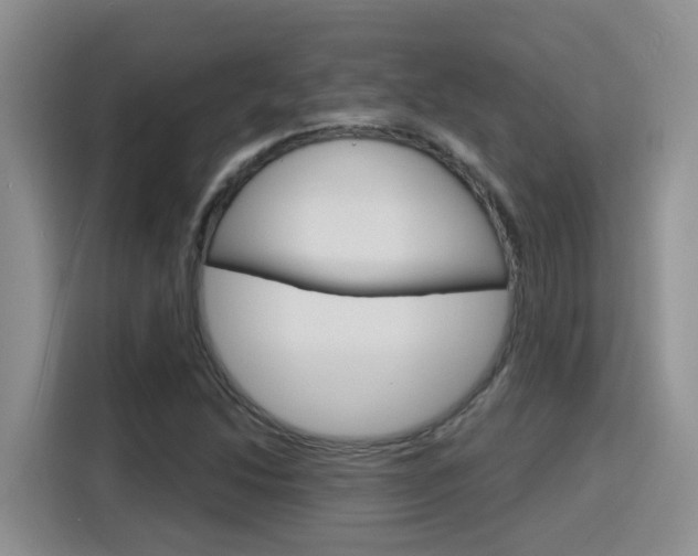 X0000116151214200911230945