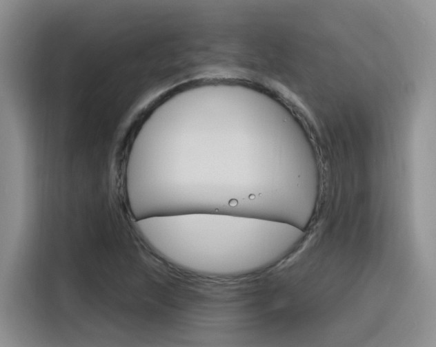 X0000116151215200911230945