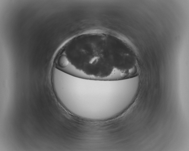 X0000116151216200911230945