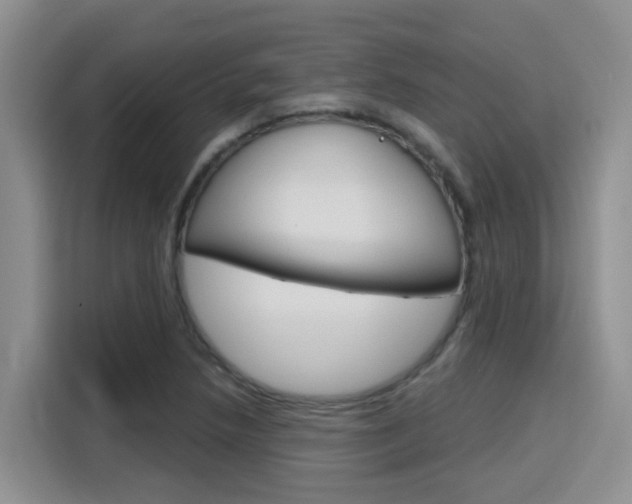X0000116151218200911230945