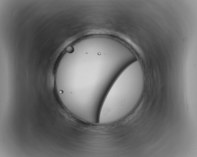 X0000116151221200911230945