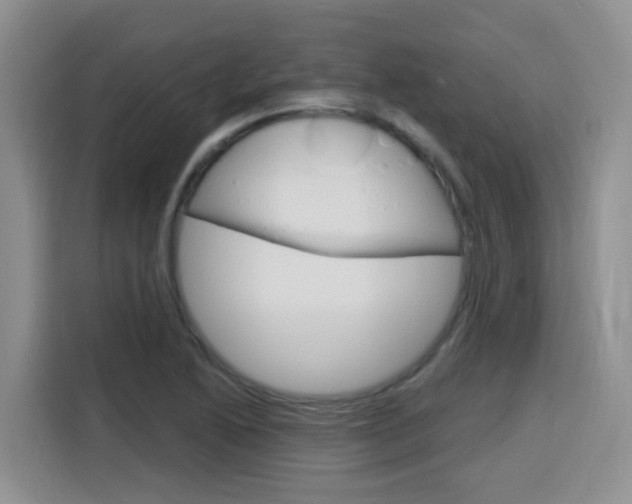 X0000116151222200911230945