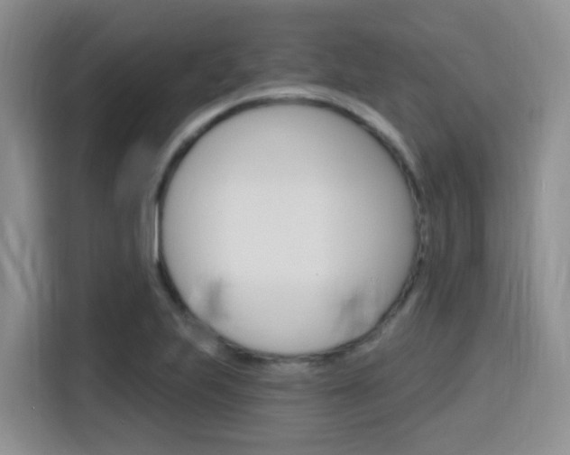 X0000116151223200911230945