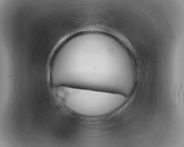 X0000116151224200911230945