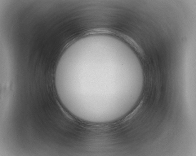 X0000116151225200911230945