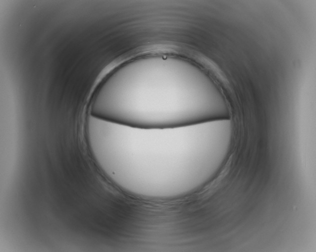 X0000116151226200911230945