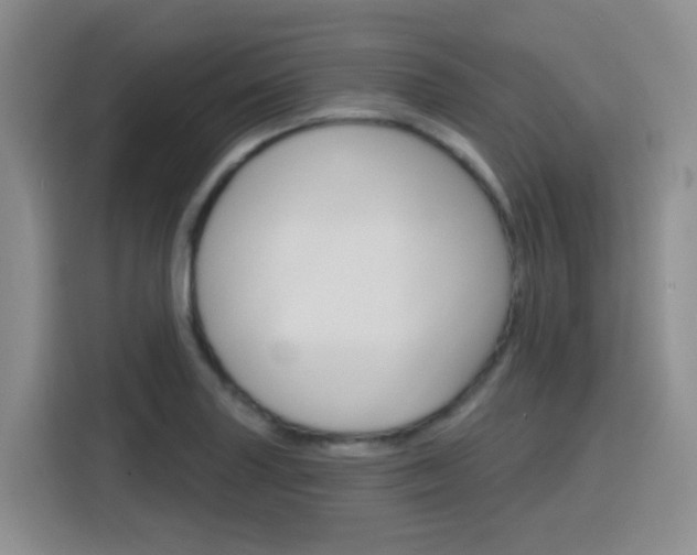 X0000116151227200911230945
