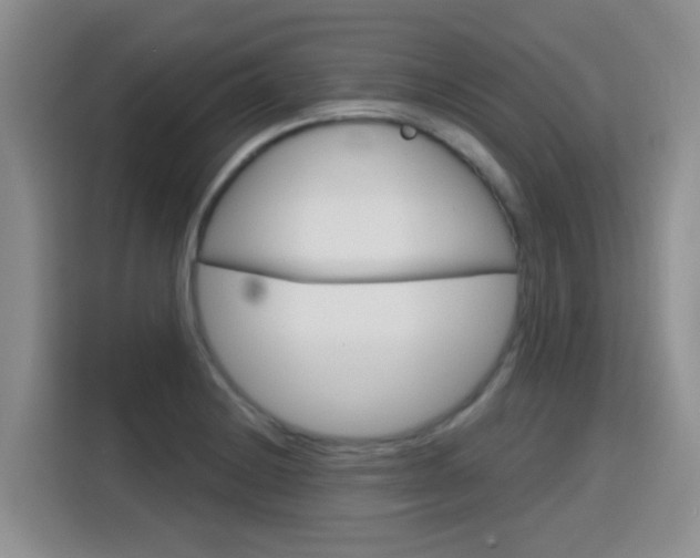 X0000116151228200911230945