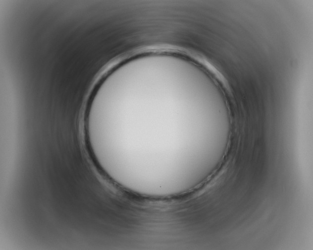 X0000116151229200911230945