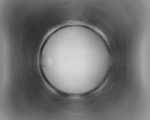 X0000116151231200911230945