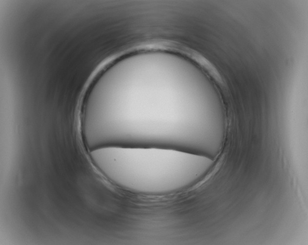 X0000116151232200911230945