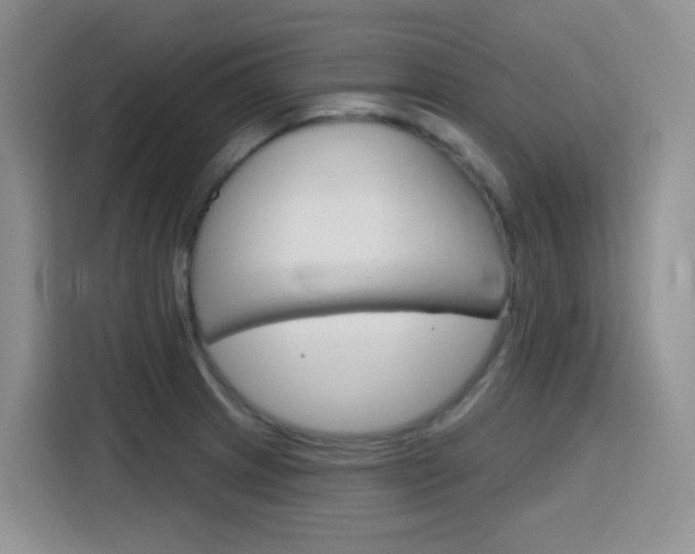 X0000116151233200911230945
