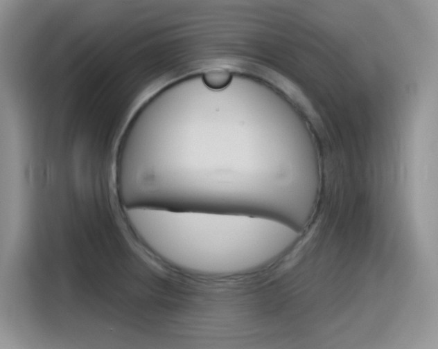 X0000116151234200911230945