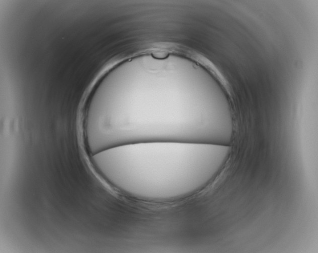 X0000116151235200911230945