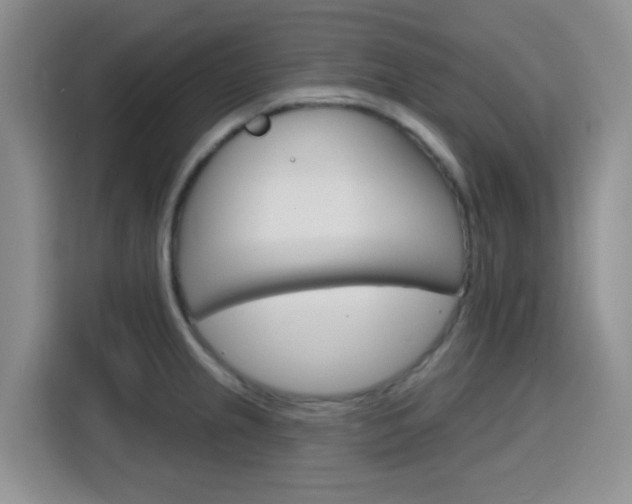 X0000116151237200911230945
