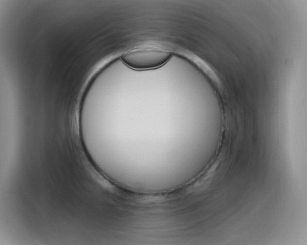 X0000116151238200911230945
