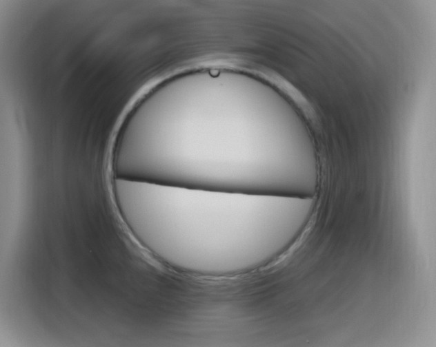 X0000116151240200911230945