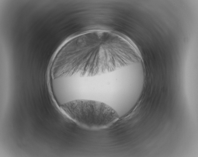 X0000116151243200911230945